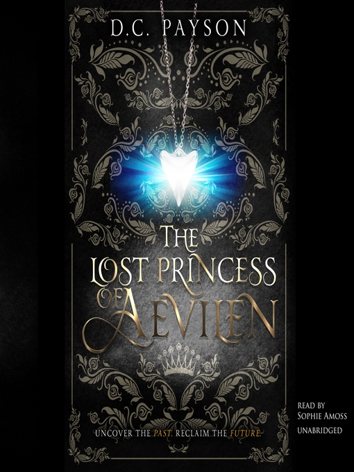 Title details for The Lost Princess of Aevilen by D.C. Payson - Available